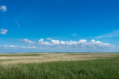 Sylt 'deki Hindenburg Barajı' na bak