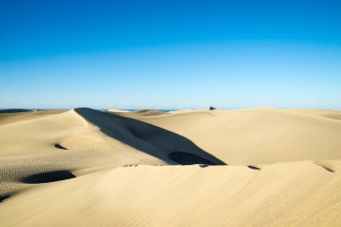 Gran Canaria / İspanya 'daki Maspalomas Kumulları