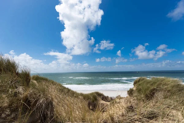 View North Sea Sylt Dunes — Stock Photo, Image