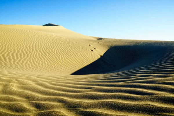 Reserva Natural Maspalomas Dunas Espanha — Fotografia de Stock