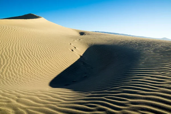 Padrão Bizarro Maspalomas Dunes Espanha — Fotografia de Stock