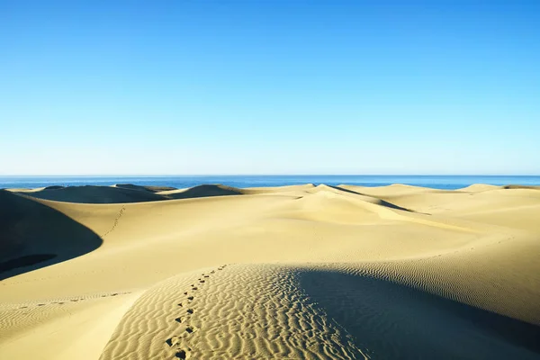 Gran Canaria / İspanya 'daki Maspalomas Kumulları