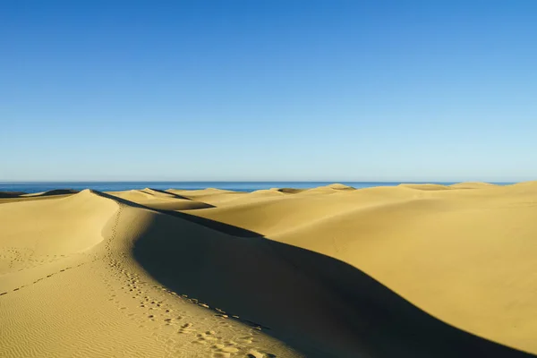 stock image The Atlantic Ocean is in sight from Maspalomas Dunes