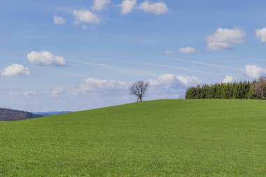 Schmallenberg - Harika bulutları olan geniş bir çayırda saklanmak için manzara / Almanya
