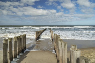 İlkbahar / Hollanda 'daki Domburg Plajında Soğuk ve Güçlü Rüzgar