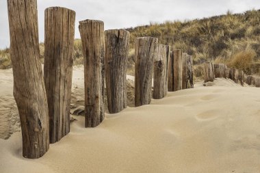 Domburg - Kereste yığınları ve Çimen Kumulları / Hollanda 'ya yakın çekim