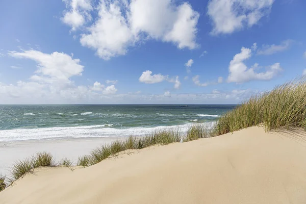Sylt Pohled Písku Dunes Severního Moře Blízkosti Kampen Německo — Stock fotografie