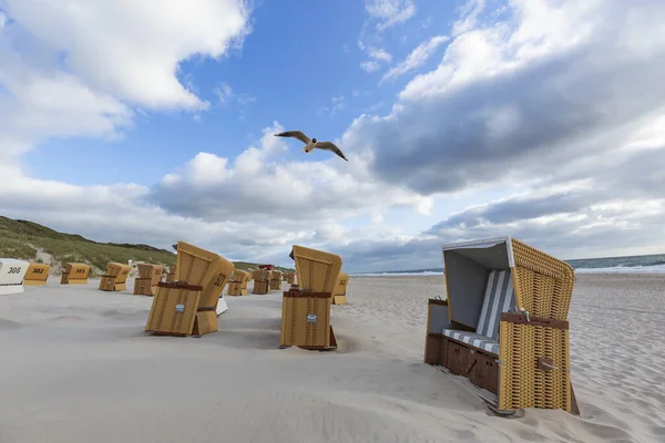 Sylt View Seagull Abandoned Beach Wenningstedt Late Afternoon Schleswig Holstein — Stock Photo, Image