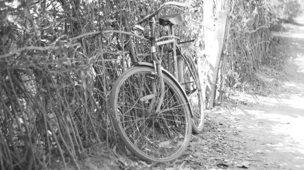 Fahrrad Sport Retro Indien Reise — Stockfoto