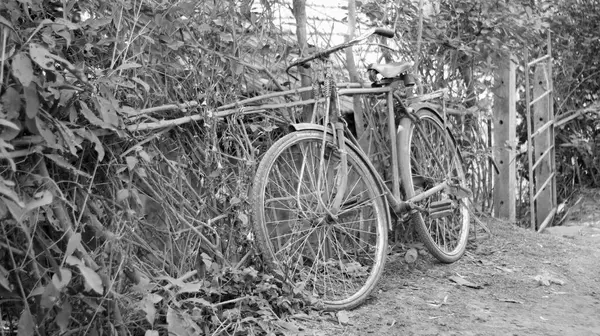 Fahrrad Sport Retro Indien Reise — Stockfoto