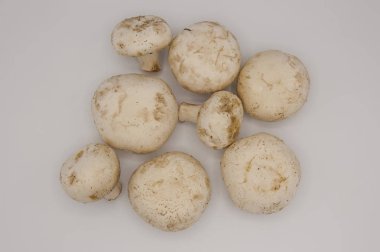 Beyaz arka planda izole edilmiş taze şampiyonlar