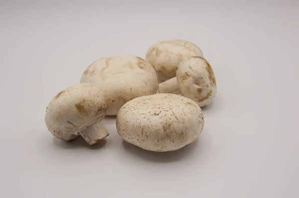 Champignons Freschi Isolati Fondo Bianco — Foto Stock