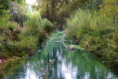 Doğa arasındaki nehir suyundaki yansımalar. Refleksler