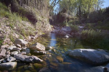 Aydınlık bir bahar sabahında sakin bir nehir. Doğanın renkleri
