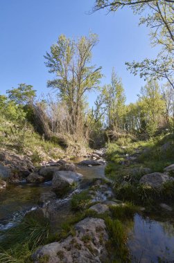 Aydınlık bir bahar sabahında sakin bir nehir. Doğanın renkleri