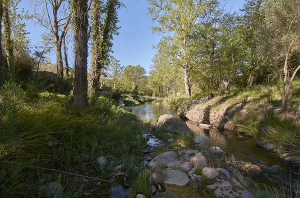 Río Tranquilo Una Brillante Mañana Primavera Colores Naturaleza — Foto de Stock