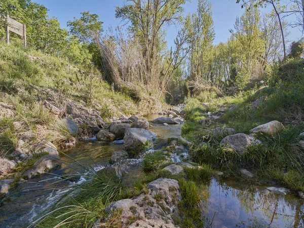 Río Tranquilo Una Brillante Mañana Primavera Colores Naturaleza — Foto de Stock