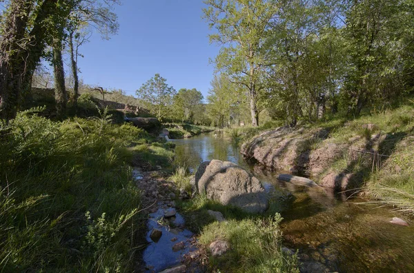 Río Tranquilo Una Brillante Mañana Primavera Colores Naturaleza — Foto de Stock