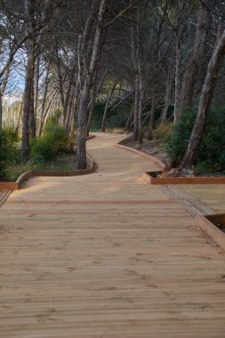 Yeryüzündeki cennete giden tahta yol. Bahar renkleri