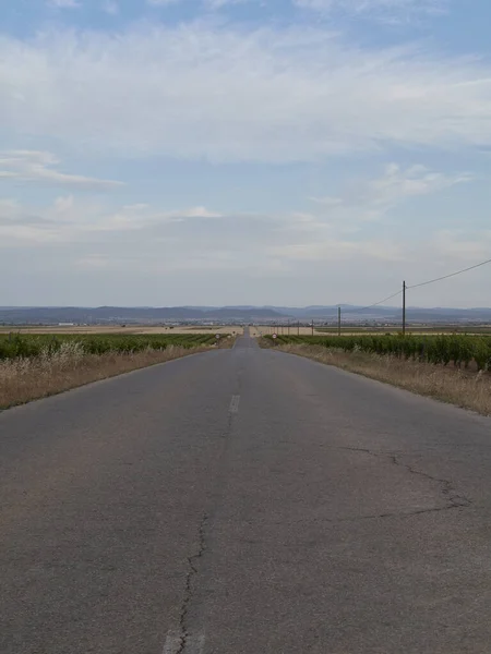 Hasattan Önce Buğday Tarlaları Arasındaki Yol Doğanın Renkleri — Stok fotoğraf