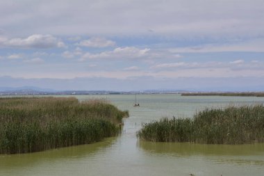 Parlak ve sıcak bir yaz gününde göl. Doğanın renkleri