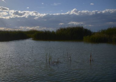 Parlak ve sıcak bir yaz gününde göl. Doğanın renkleri