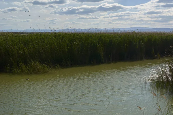 Jezero Jasného Horkého Letního Dne Barvy Přírody — Stock fotografie