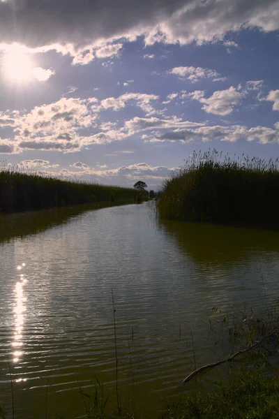 Lac Par Une Journée Été Chaude Lumineuse Couleurs Nature — Photo