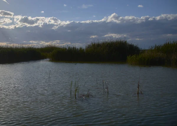 Lac Par Une Journée Été Chaude Lumineuse Couleurs Nature — Photo