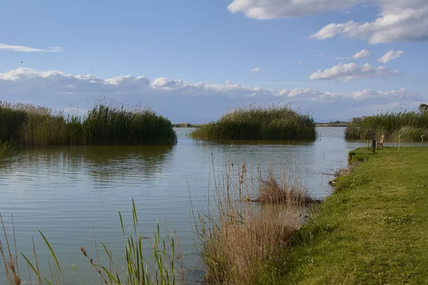 Озеро Яркий Жаркий Летний День Цвета Природы — стоковое фото