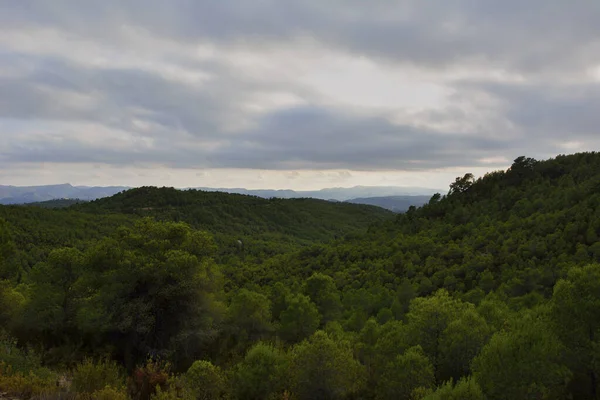 Paisaje Montaña Los Bosques Pinos Colores Naturaleza — Foto de Stock