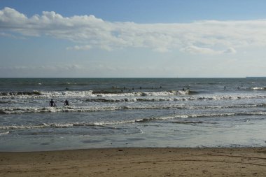 Bir yaz günü sahilde sörfçüler grubu. Doğanın renkleri.
