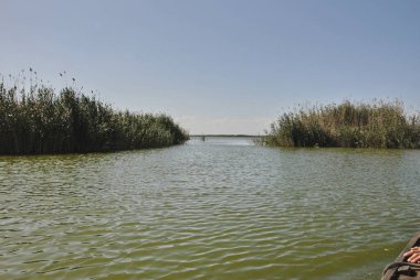 Bitki ve sazlıklarla dolu büyük bir göl. Doğanın renkleri
