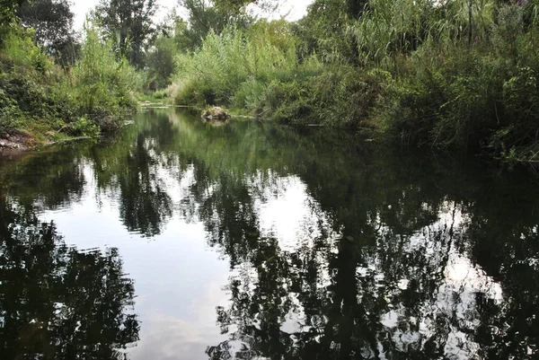 Río Aguas Tranquilas Través Una Exuberante Vegetación Colores Naturaleza — Foto de Stock