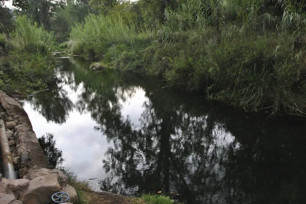 Calma Fiume Acqua Attraverso Una Vegetazione Lussureggiante Colori Della Natura — Foto Stock