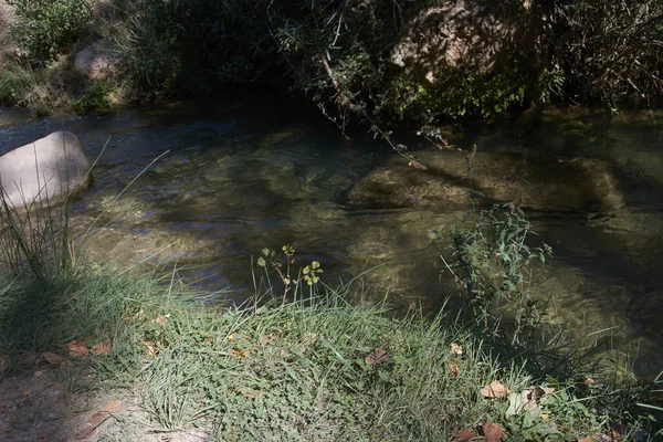 Corriente Aguas Tranquilas Través Vegetación Valla Plantas Rocas Medio — Foto de Stock