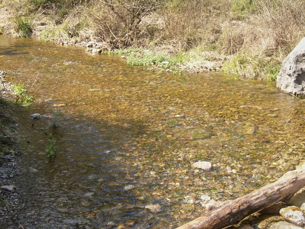 Arroyo Con Aguas Tranquilas Entre Rocas Roca Pequeñas Ramas Tierra — Foto de Stock