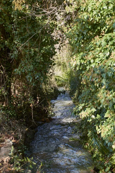 Río Aguas Turbulentas Través Vegetación Limo Frío Agua Transparente — Foto de Stock