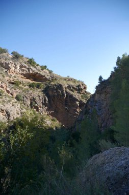 Çam ağaçları, mavi gökyüzü, parlak gökyüzü ve çam ağaçları olan dağ manzarası