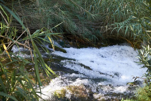 Fluss Turbulenter Gewässer Einem Kleinen Wasserfall Langzeitbelichtung Vegetation Transparent — Stockfoto