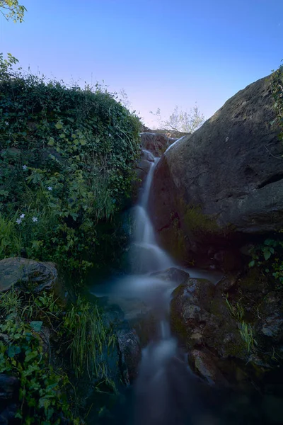 Небольшой Водопад Между Растениями Цветами Длительная Экспозиция Эффект Шелка Синий — стоковое фото