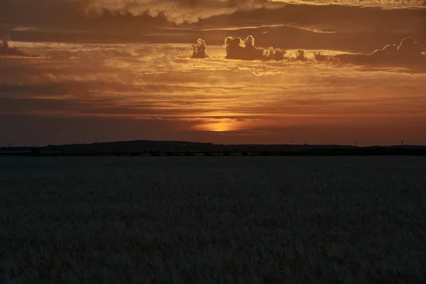 Залитые Солнцем Пшеничные Поля Сбора Урожая Яркое Небо Хлопья Закате — стоковое фото
