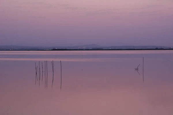 Pôr Sol Lago Grande Dos Juncos Verde Cores Douradas Águas — Fotografia de Stock