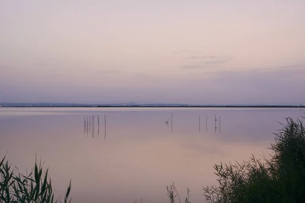 Pôr Sol Lago Grande Dos Juncos Verde Cores Douradas Águas — Fotografia de Stock