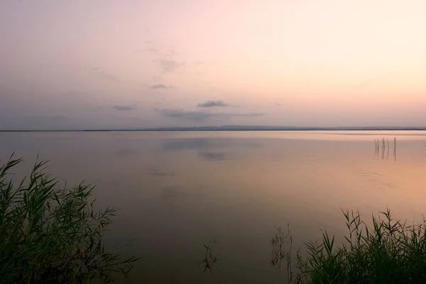 Coucher Soleil Sur Grand Lac Depuis Les Roseaux Vert Couleurs — Photo