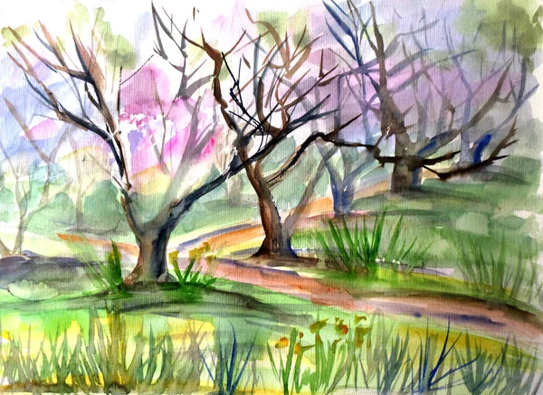 watercolor drawing spring blooming garden with paths with pink flowers