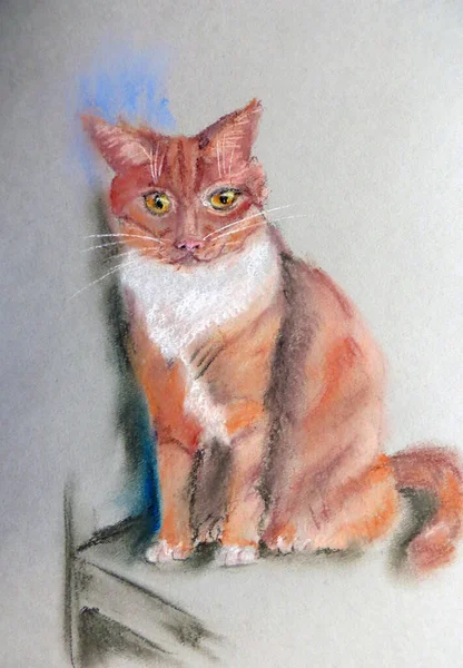 Dibujo Pastel Sentado Gato Jengibre Con Ojos Amarillos Sobre Fondo —  Fotos de Stock