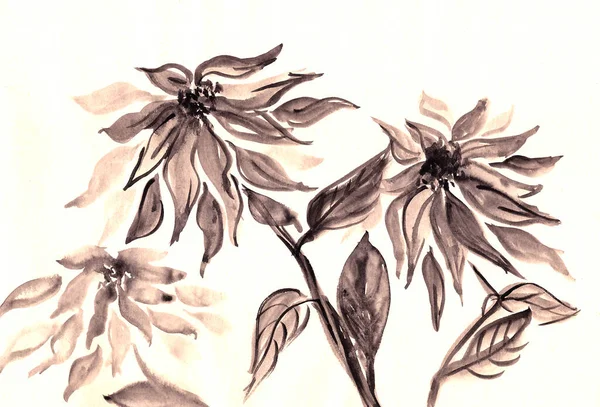 Dessin Encre Noir Blanc Dans Style Chinois Chrysanthème Sur Fond — Photo