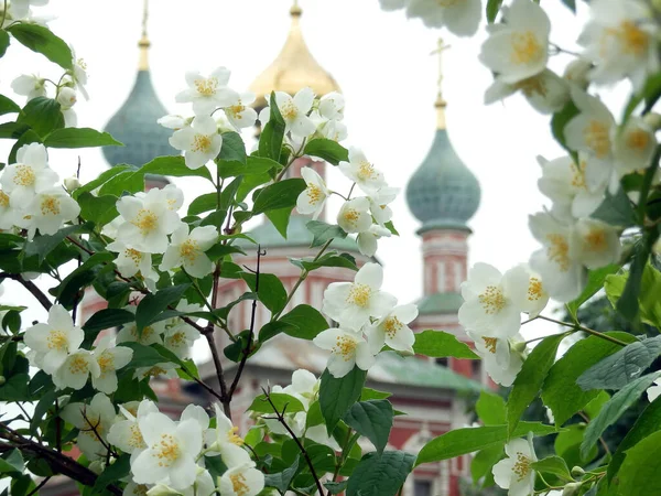 Квітучий Весняний Білий Ніжний Сміх Православна Церква Розмитому Фоні — стокове фото