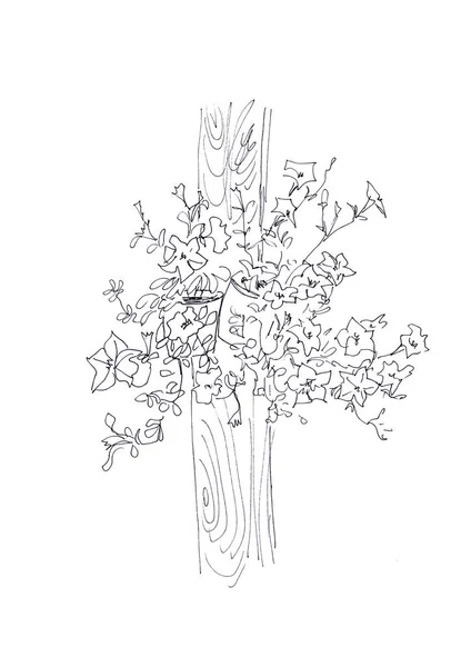 Vasi Disegno Grafici Bianco Nero Con Petunia Fiore Appesa Pilastro — Foto Stock